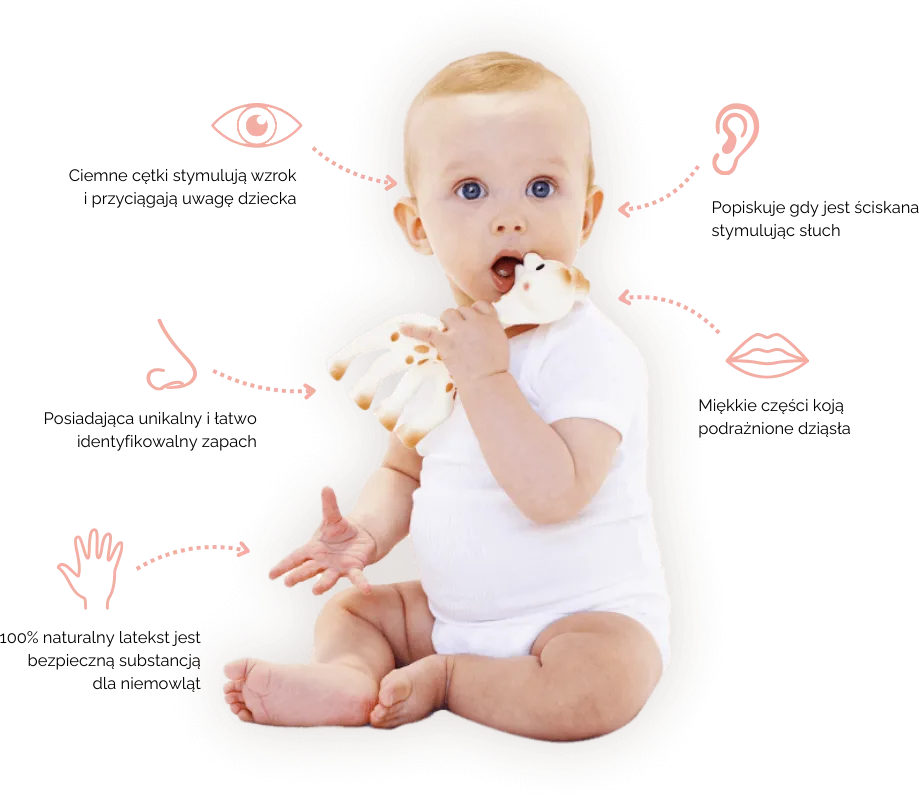 Żyrafa Sophie La Girafe So Pure – naturalny gryzak dla niemowląt 0+ z kauczuku Hevea