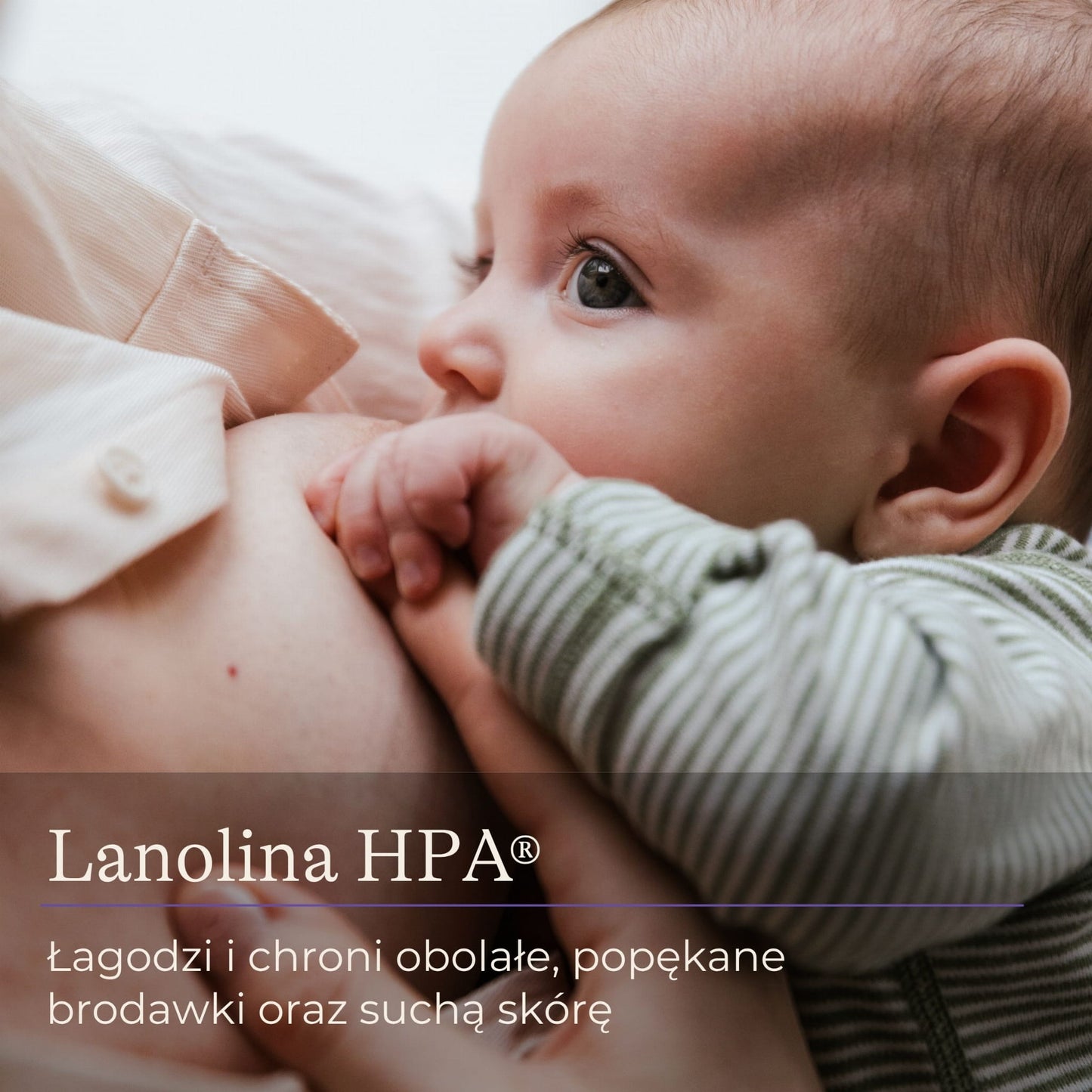 Lanolina Lansinoh HPA® 40 ml – wsparcie dla brodawek i naturalna pielęgnacja skóry